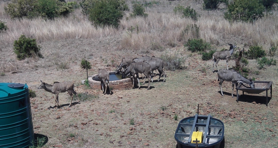 5 Bedroom Property for Sale in Swartruggens North West